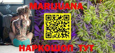 прущие крисы Гусев
