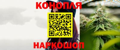 прущие крисы Гусев
