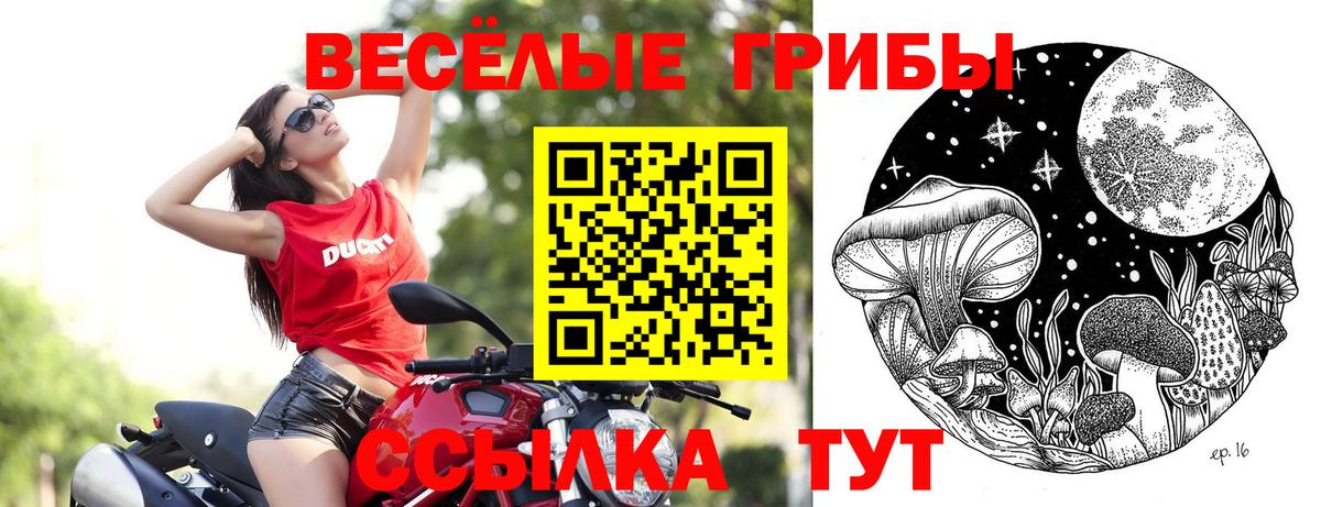 Псилоцибиновые грибы Psilocybine cubensis  Псилоцибиновые грибы мицелий  Нальчик  магазин продажи наркотиков  Вход с VPN 